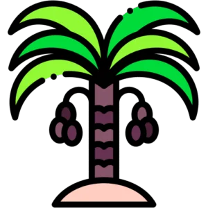 খেজুর গুড়